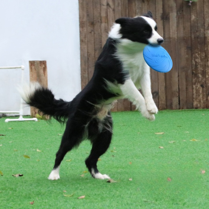 Frisbee Freestyle Disc - Hondenspeelgoed, Border Animal Pet Dog Special
