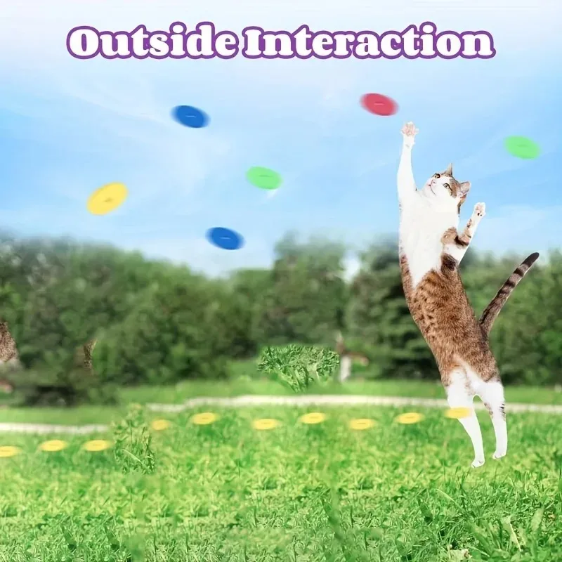 Grappige kattenspeelgoed Creat - Frisbee Freestyle Disc recensie en prijs
