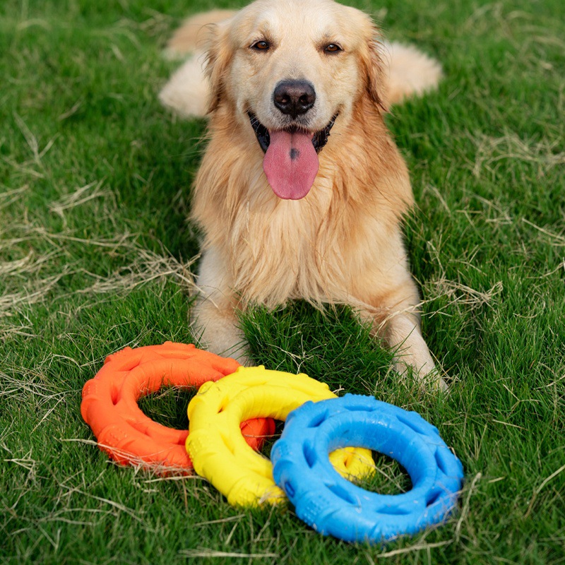 3-in-1 Hondenfrisbee Trekspel  - Frisbee Freestyle Disc recensie en prijs