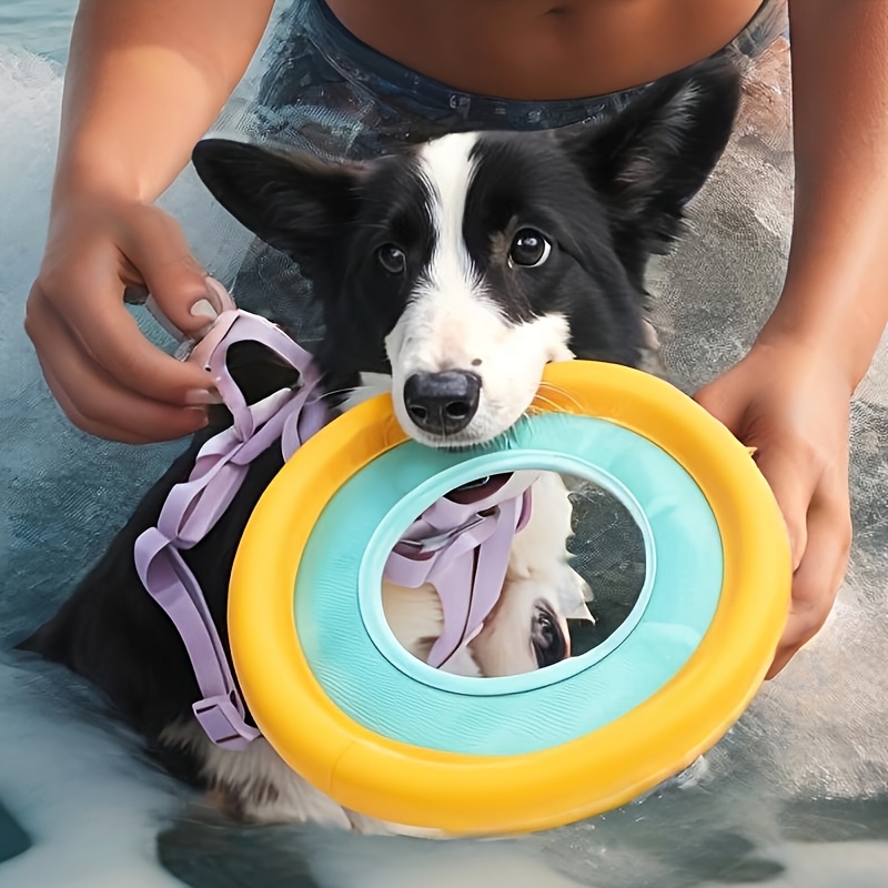 Drijvende hondenvliegenbal, in - Frisbee Freestyle Disc recensie en prijs