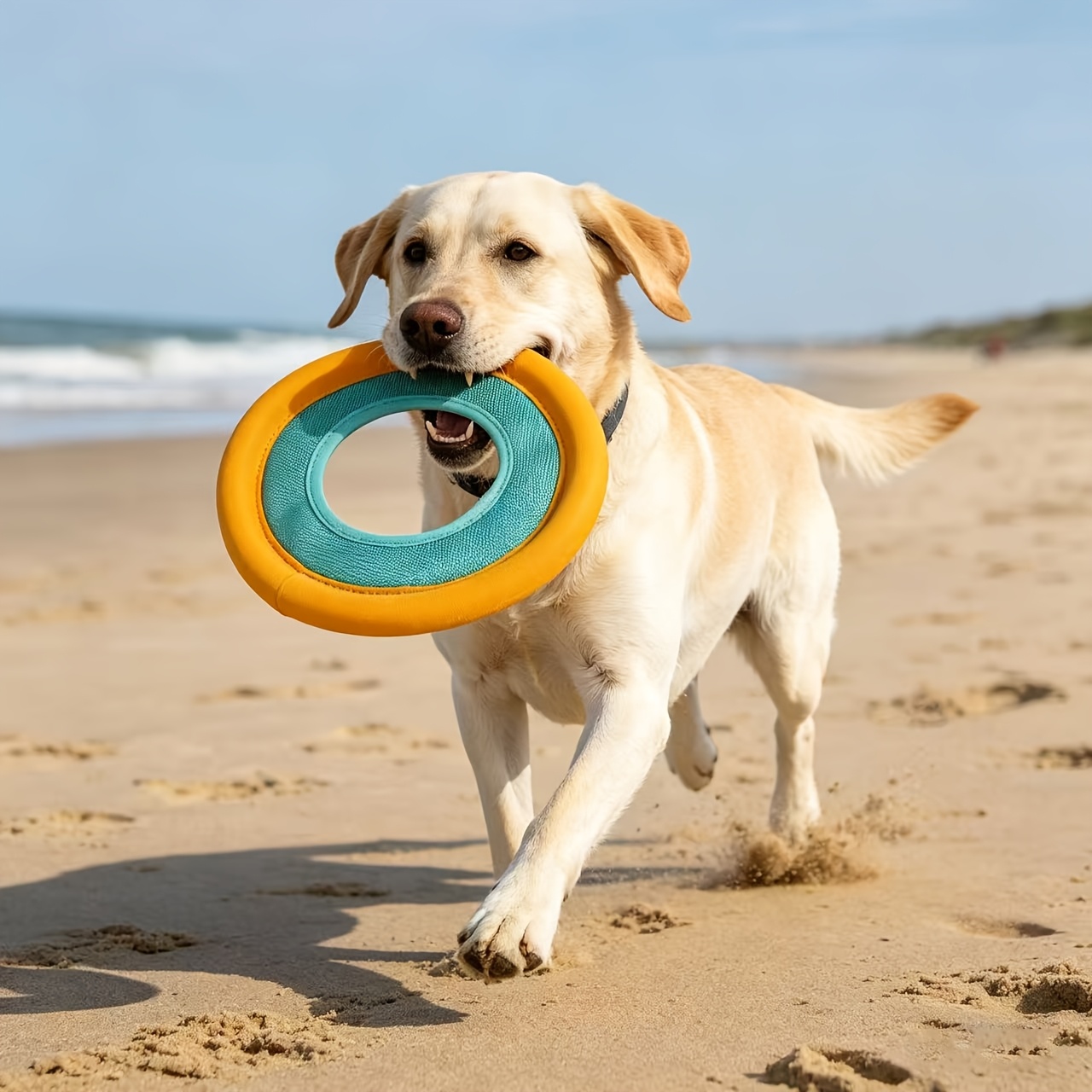 Drijvende hondenvliegenbal, in - Frisbee Freestyle Disc recensie en prijs
