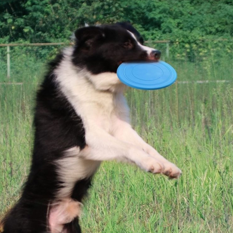 Siliconen leuke frisbee voor h - Frisbee Freestyle Disc recensie en prijs