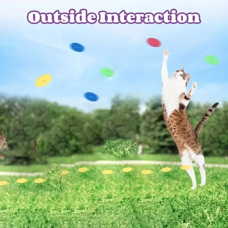 Grappige kattenspeelgoed Creat - Frisbee Freestyle Disc recensie en prijs