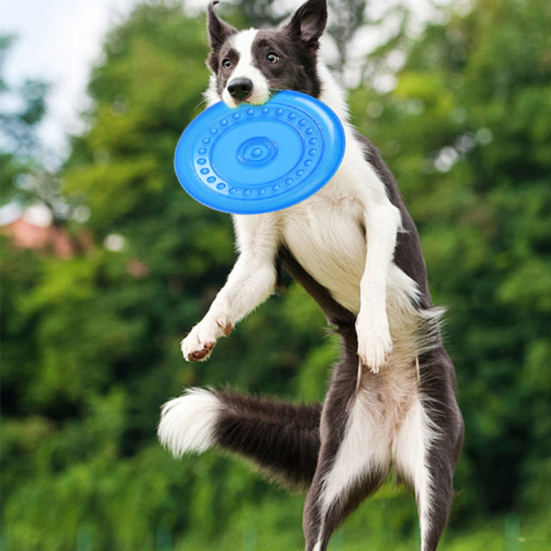 Duurzaam kauwbaar hondentraini - Frisbee Freestyle Disc recensie en prijs
