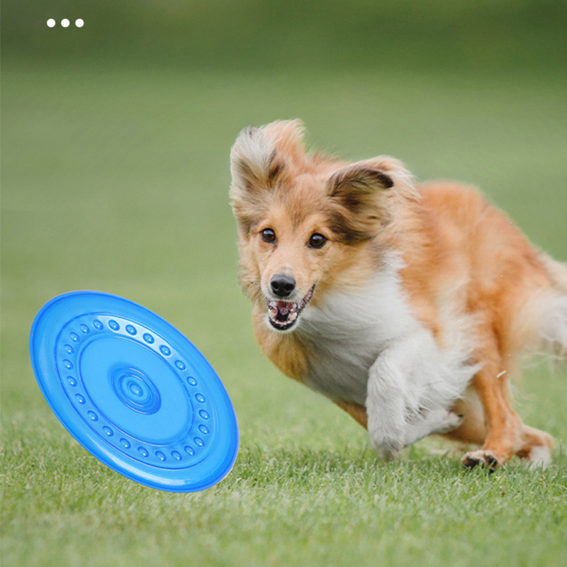 Duurzaam kauwbaar hondentraini - Frisbee Freestyle Disc recensie en prijs