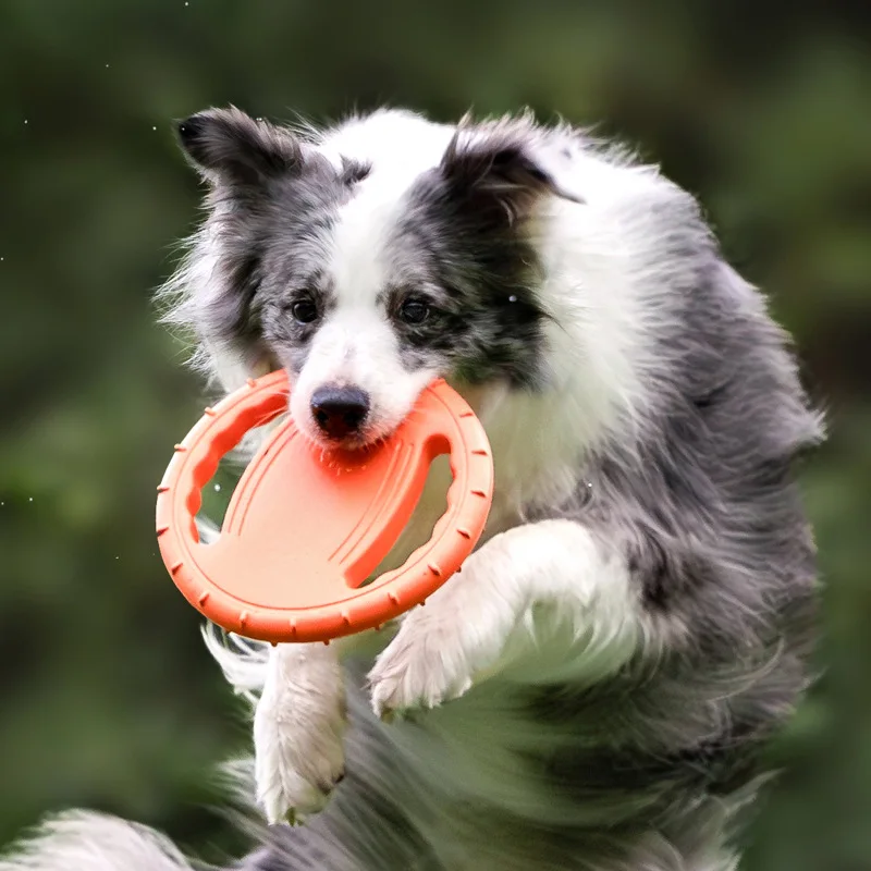 Duurzaam vliegend schijfje voo - Frisbee Freestyle Disc recensie en prijs