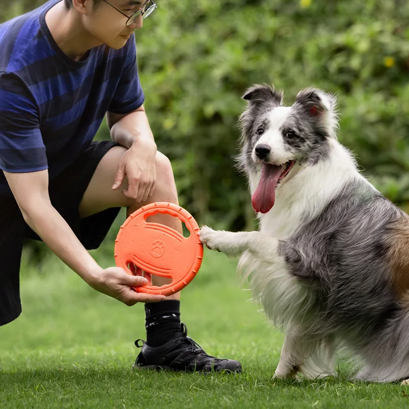 Duurzaam vliegend schijfje voo - Frisbee Freestyle Disc recensie en prijs